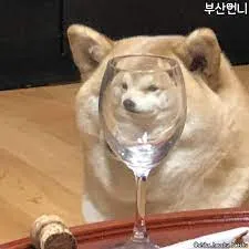 잔속에 비친2