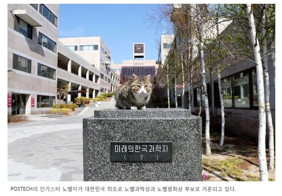 포항공대에서 거론되는 노밸상 후보