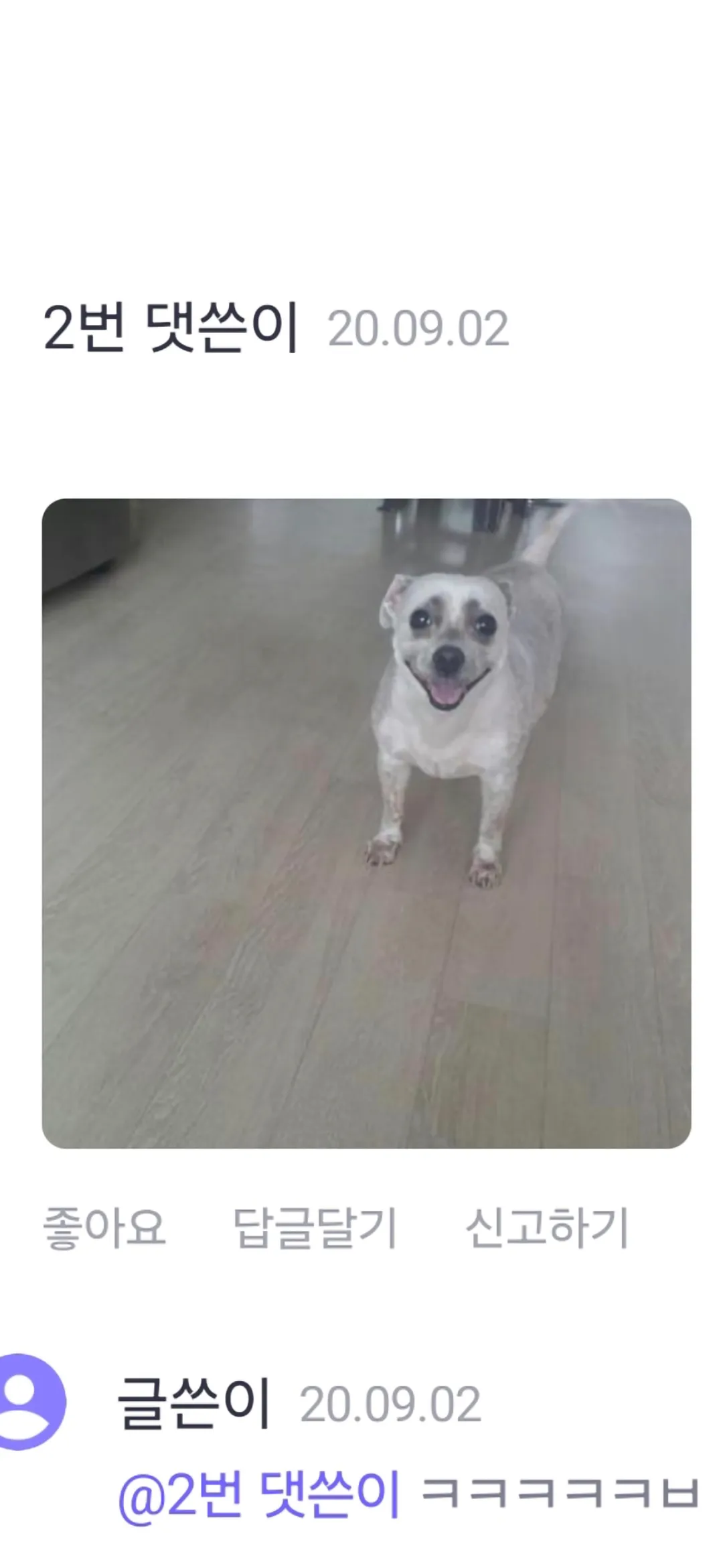 언니들은 키우다죽은강아지 잊었나요?...