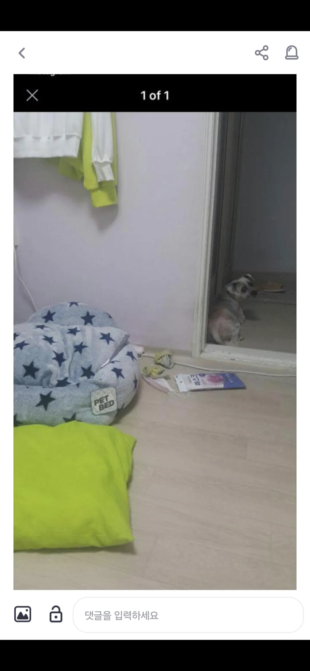 언니들은 키우다죽은강아지 잊었나요?...2