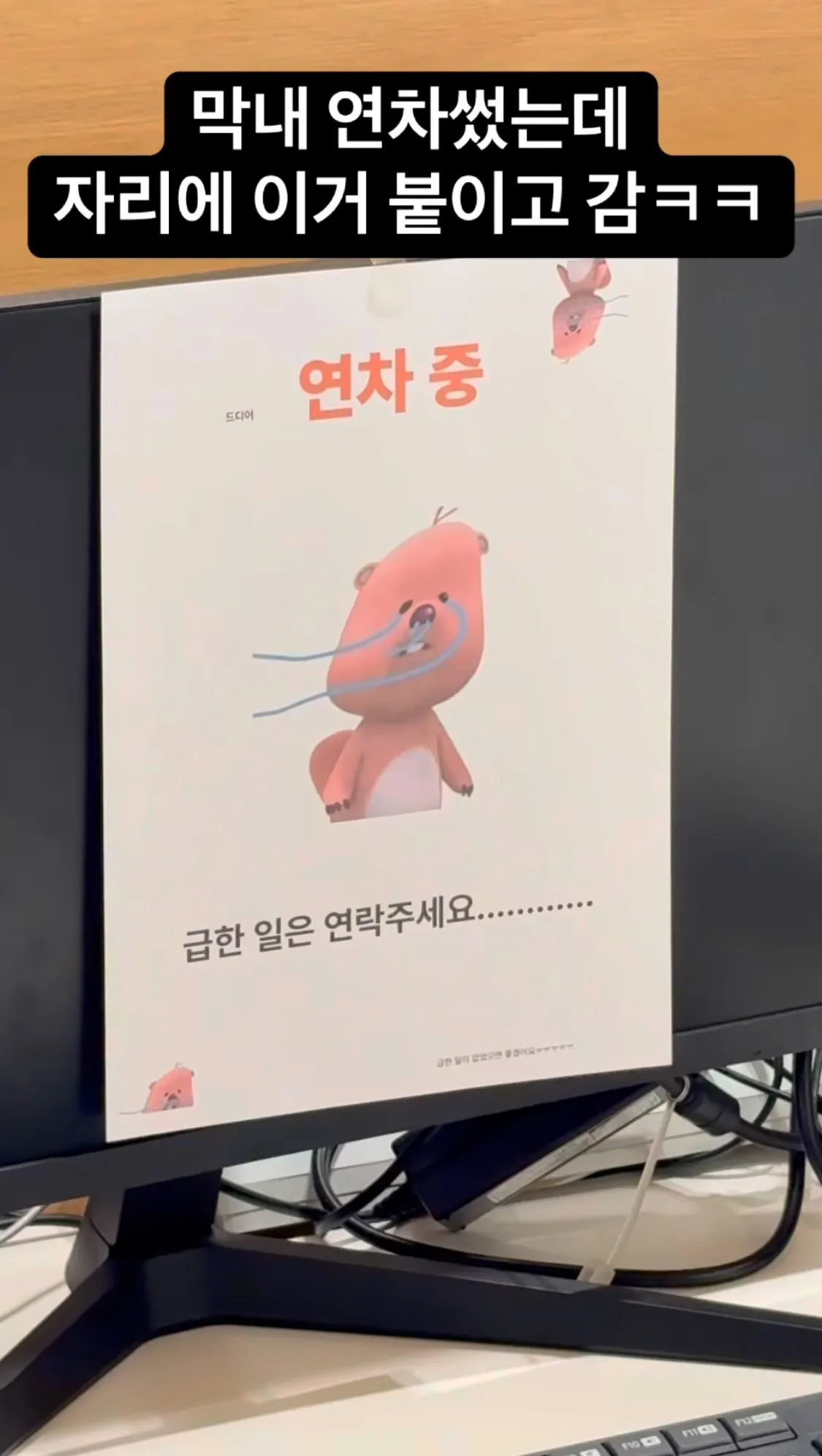 연차낸 막내라는데