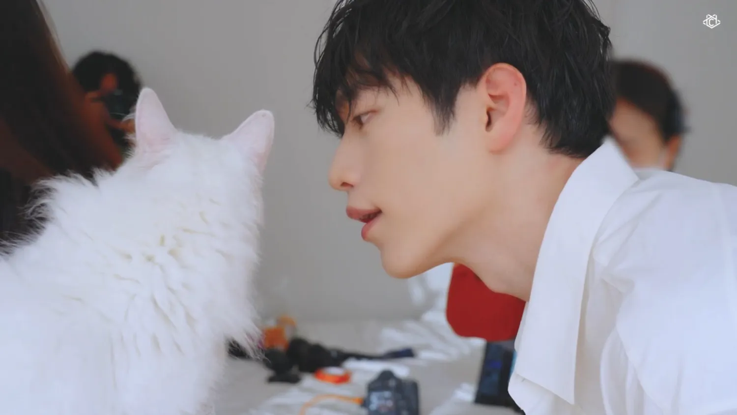 고양이 보는 서강준 눈빛