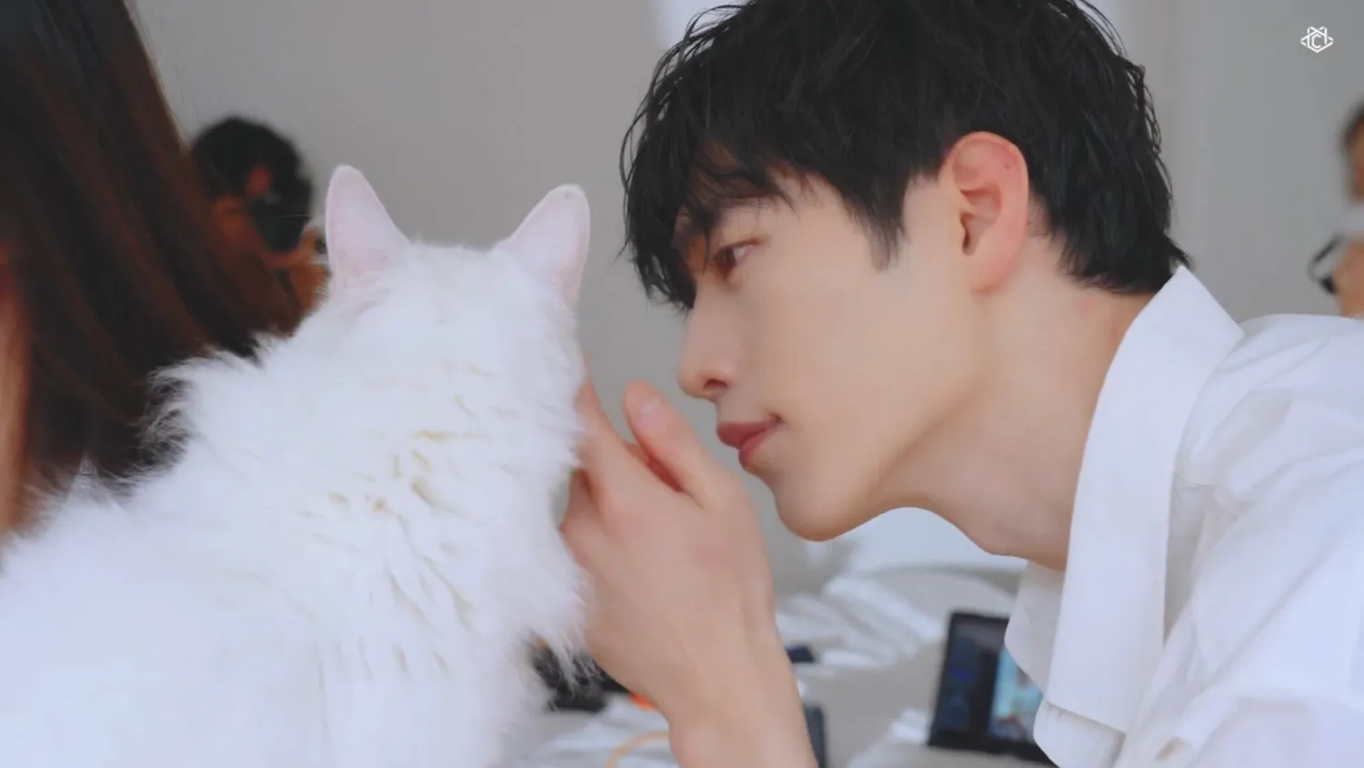 고양이 보는 서강준 눈빛2