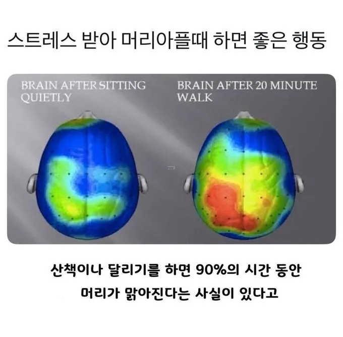 스트레스 받을때 산책이나 달리기 하면