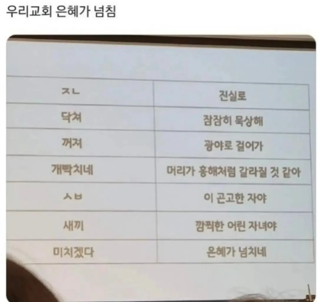 교회에서 욕 대신 쓰라고 알려준 말