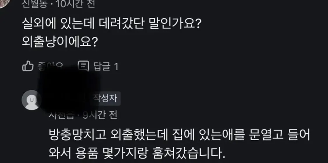 고양이 찾아요2