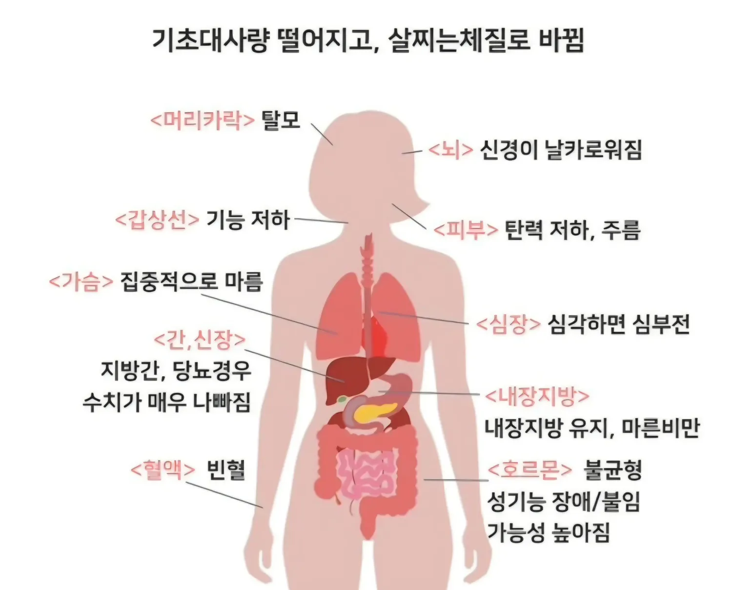 굶어서 살빼면 안되는 이유