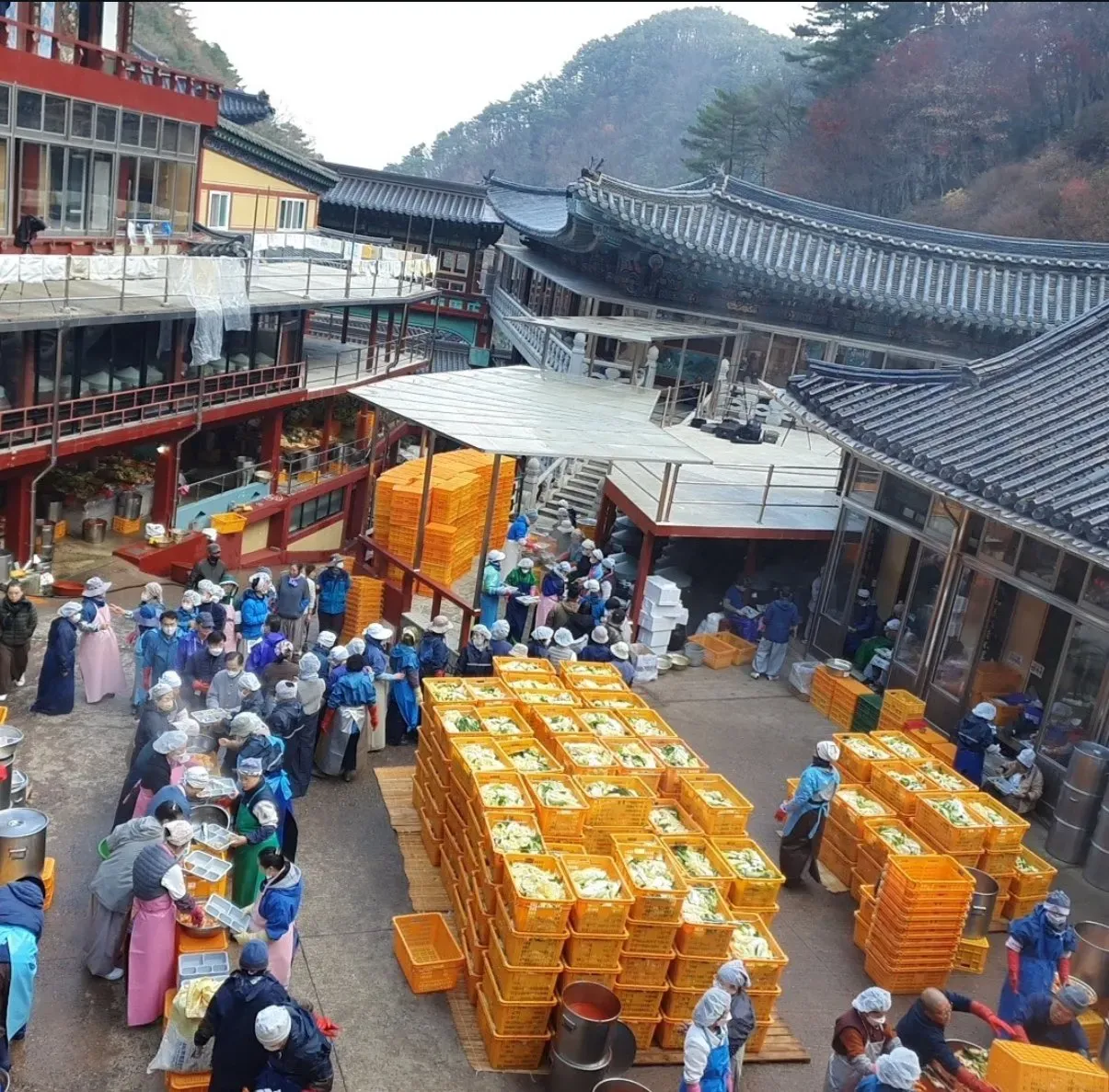 단양 구인사에서 10000포기 김장3