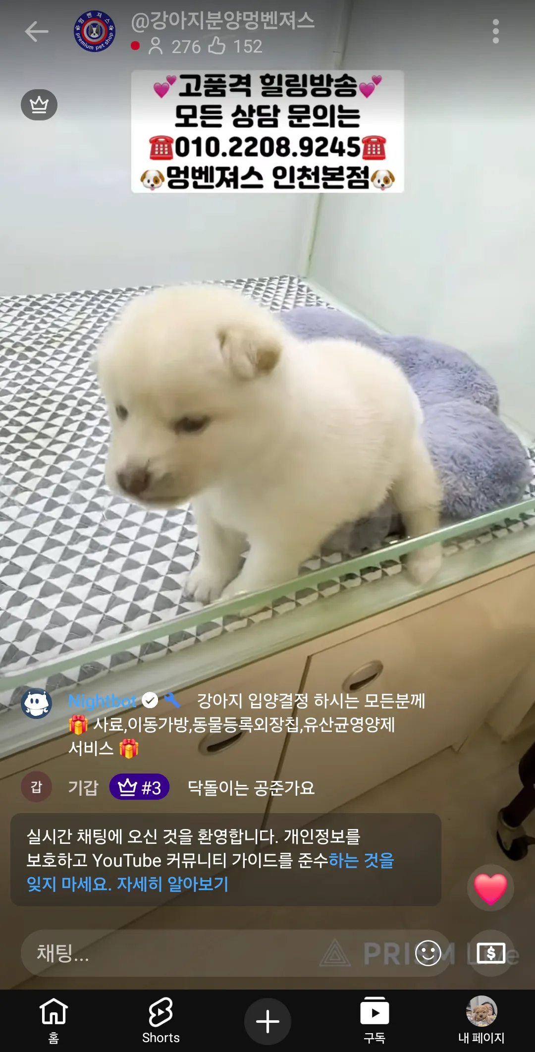 개팔이들 유투브로 방송존나하네요 펫샵돈마니버나요