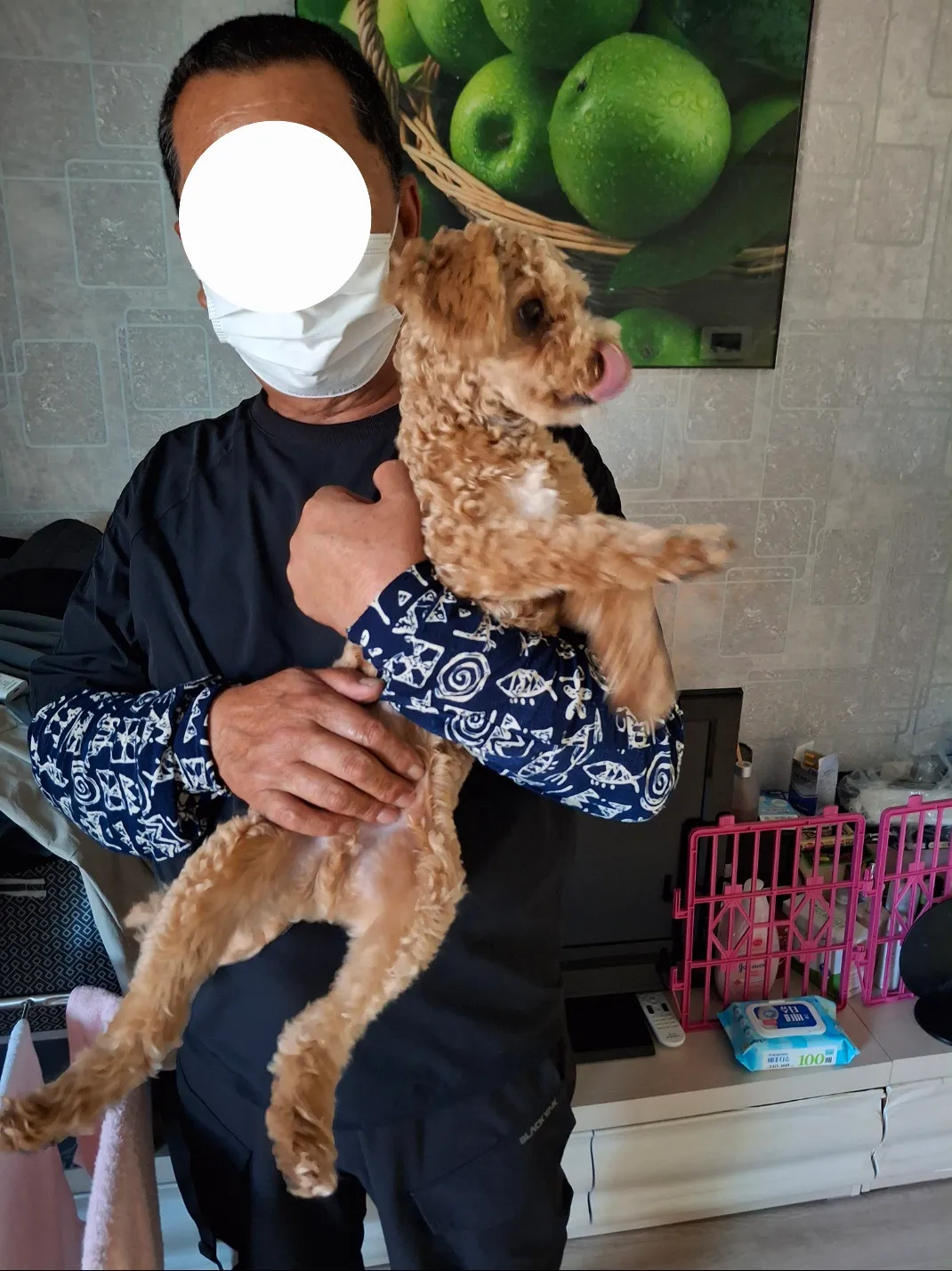 70살먹었는데도 추운데 노점상 일가는아버지땜에 댓글 2