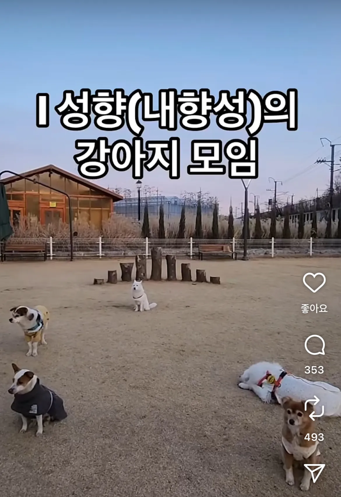  I 성향 강아지 모임