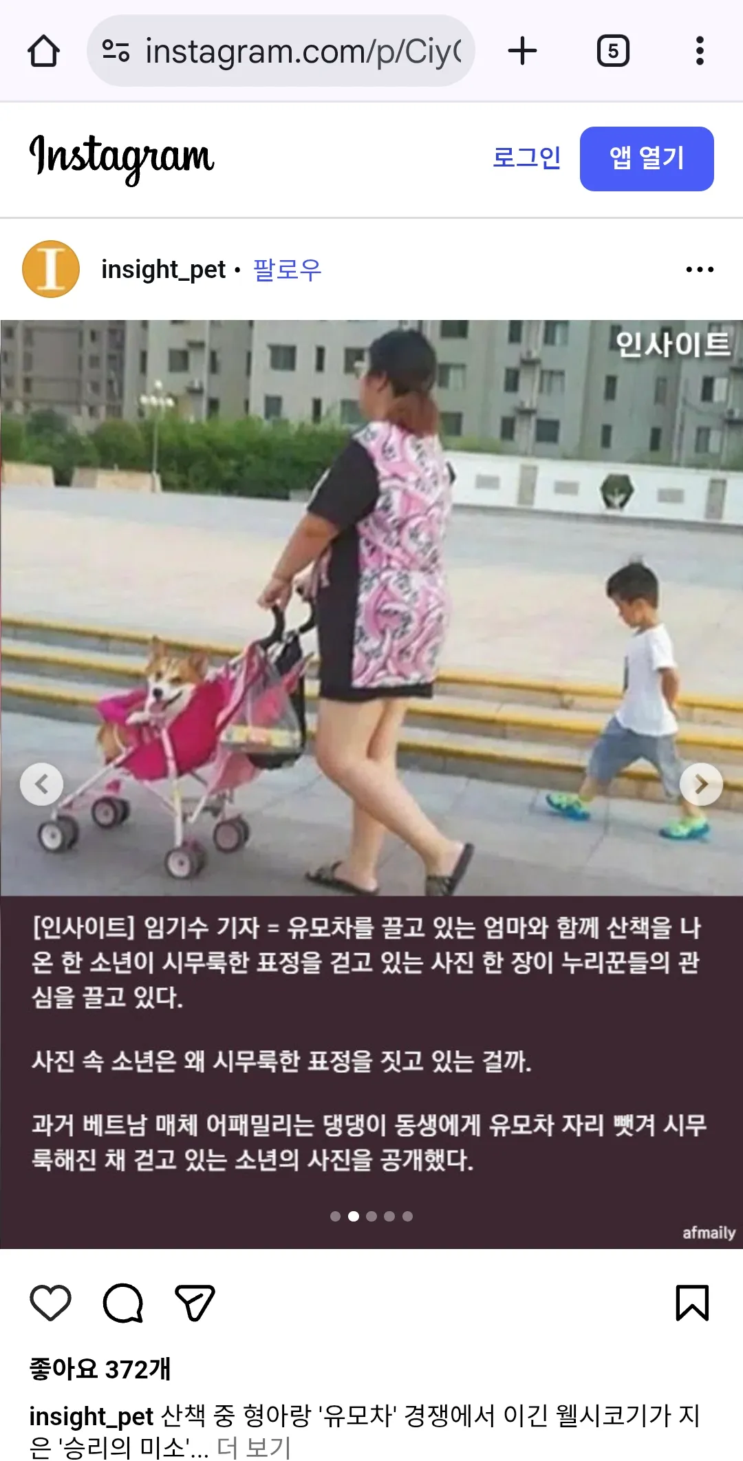웰시코기 존나큰데 유모차태운 할배봄 방금