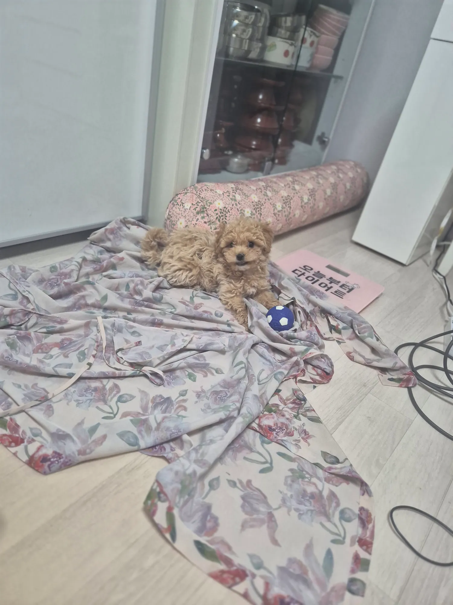 40대이상 노괴년들 출근금지시켜야함
