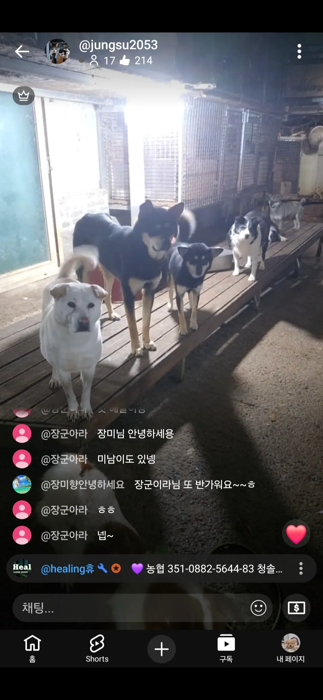 언니들 유기견보호소에 후원좀부탁드려요