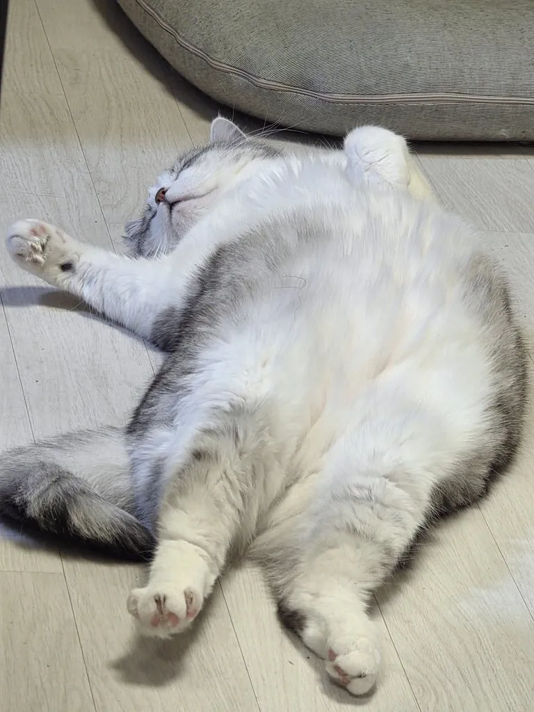 바닥난방에 