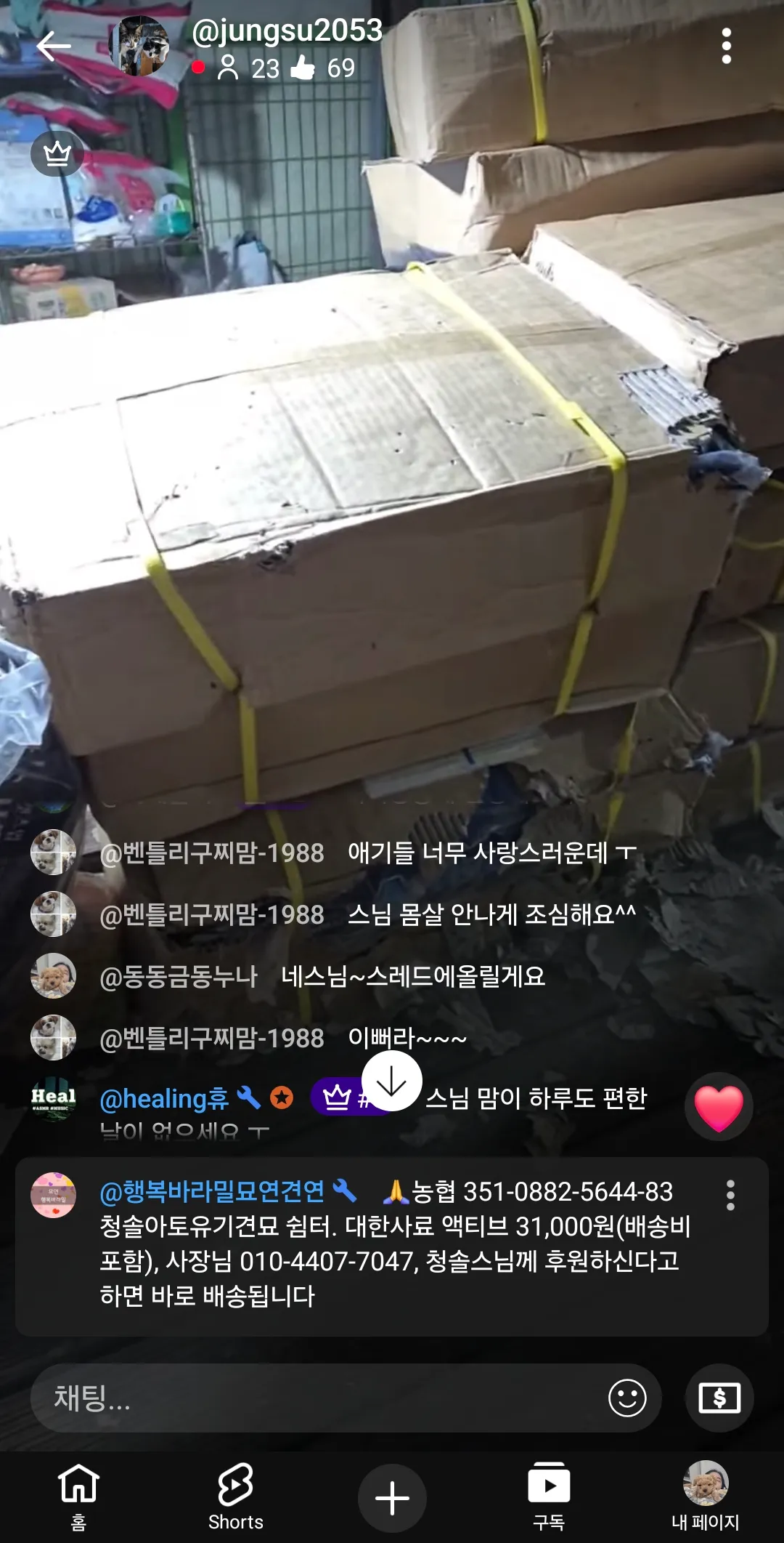 긴급 언니들 유기견 사료다떨어져서 후원좀부탁해ㅠ3