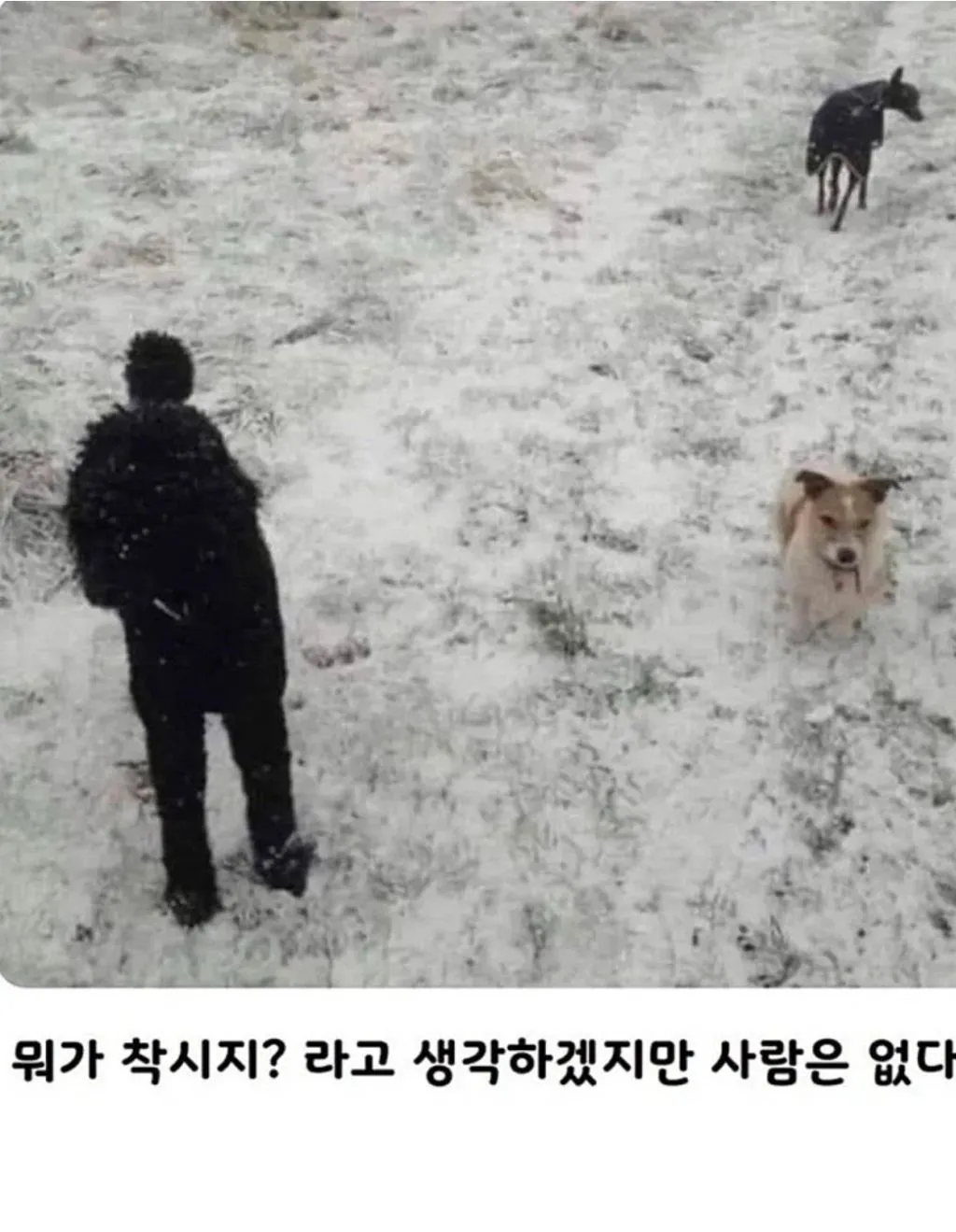 착시사진