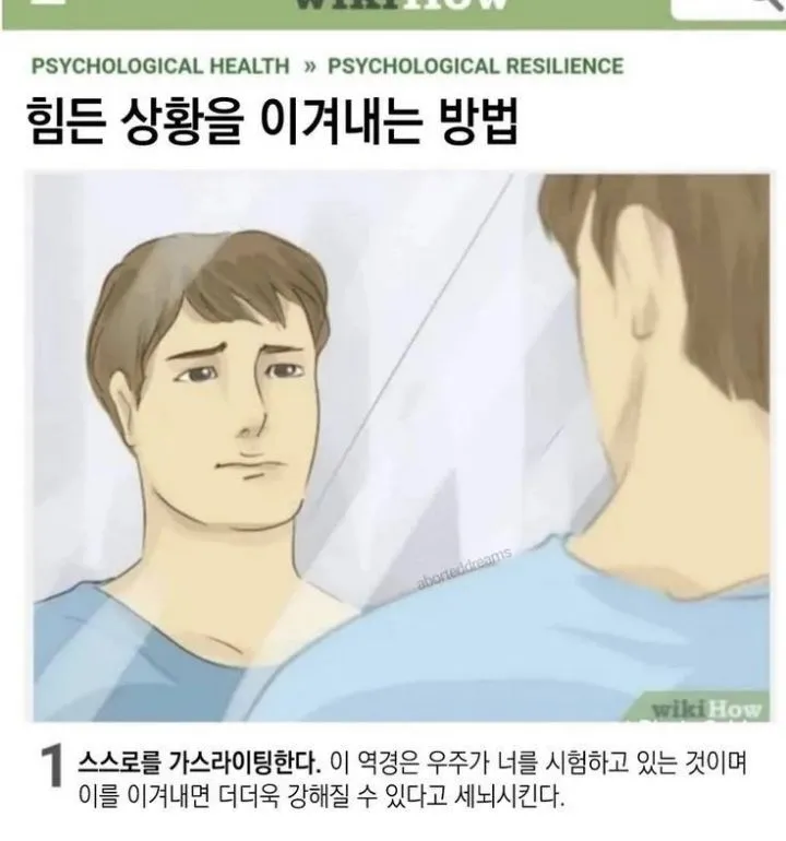 내 인생 존나 한심함 댓글