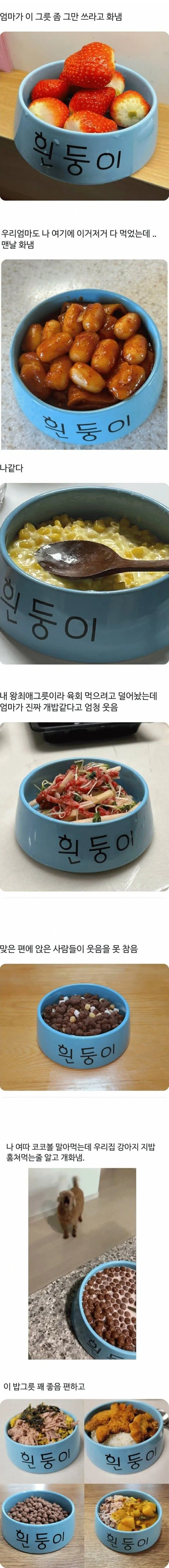엄마가 그만좀 쓰라는 그릇