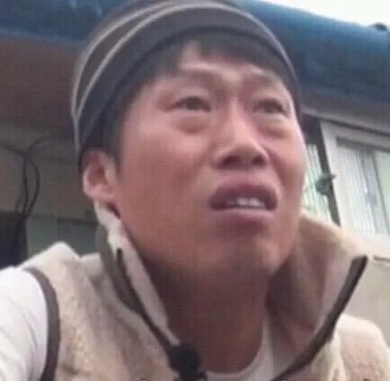 고양이 두마리키워봤는데 댓글