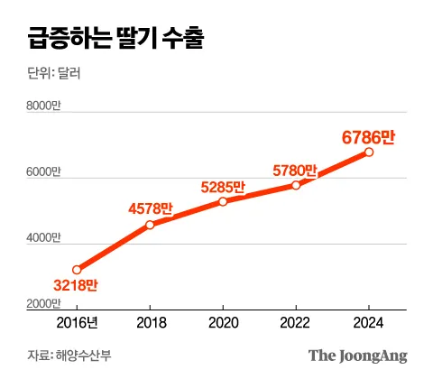 딸기 값 ㅈㄴ오르나 보네여
