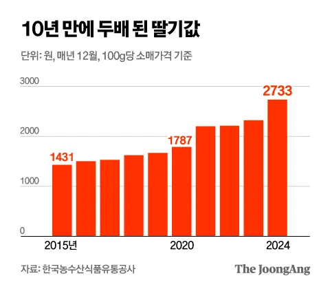 딸기 값 ㅈㄴ오르나 보네여3
