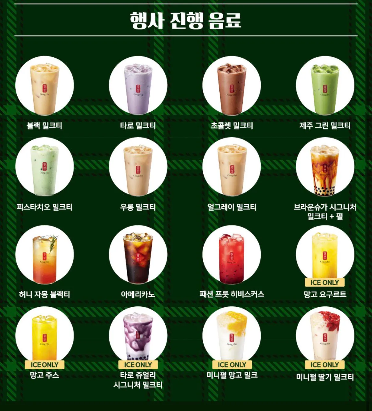 오늘 하루 사이즈업 공차데이2