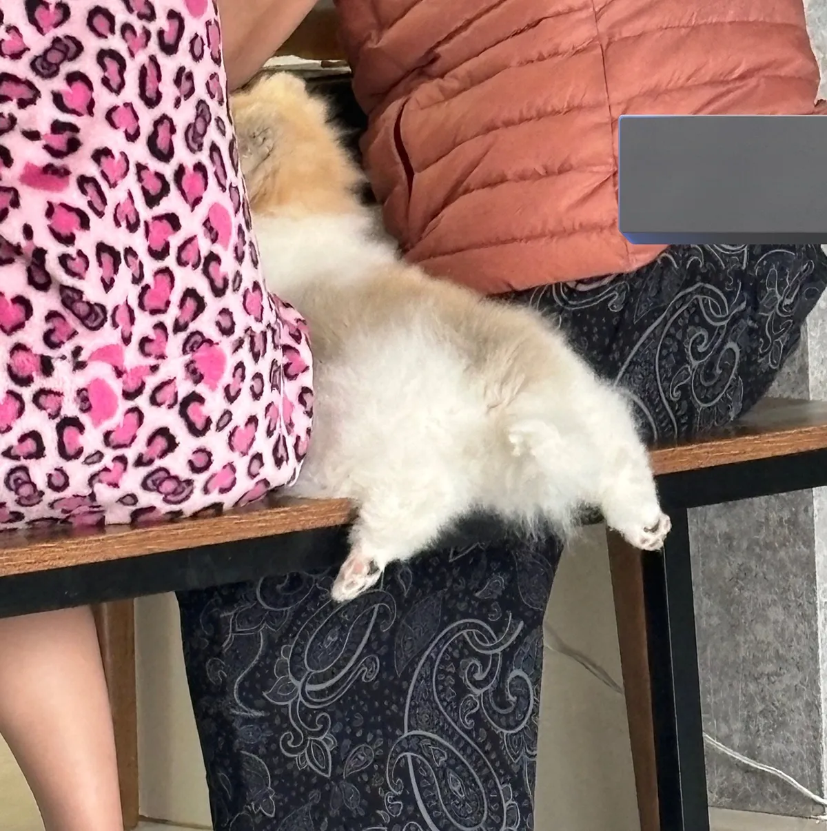 숨막히는 뒷태