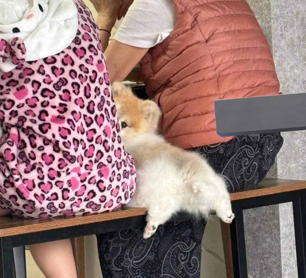 숨막히는 뒷태2