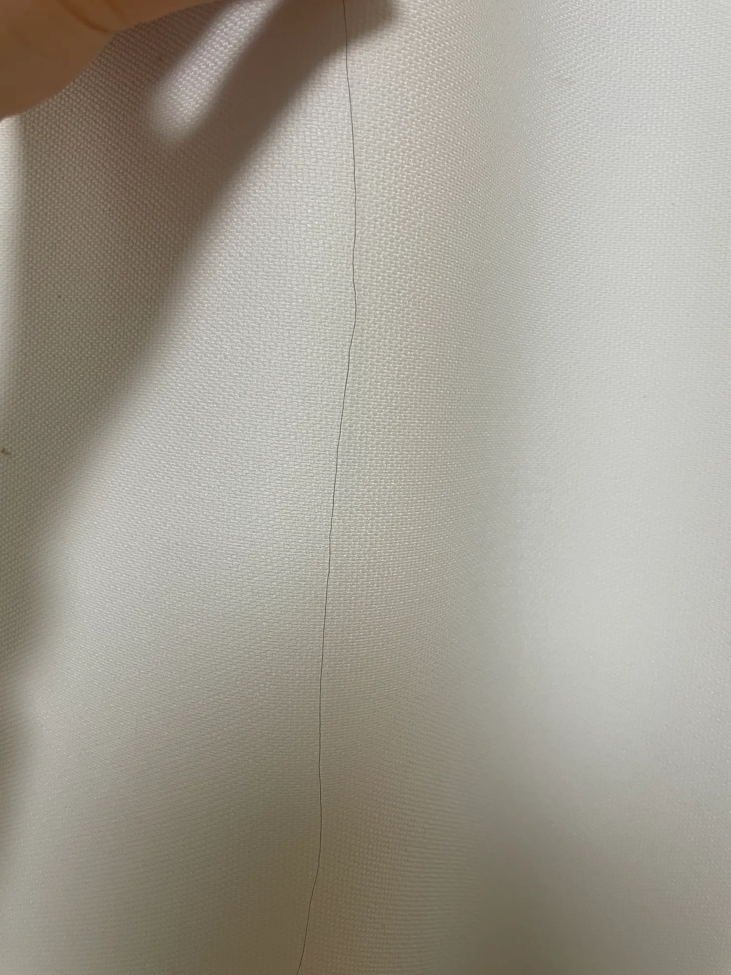 이거 머리카락 상한거에여?