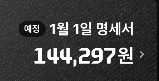 나 카드값 ㅈㄴ 적게쓴다 하는 구두쇠언니들 댓글 2