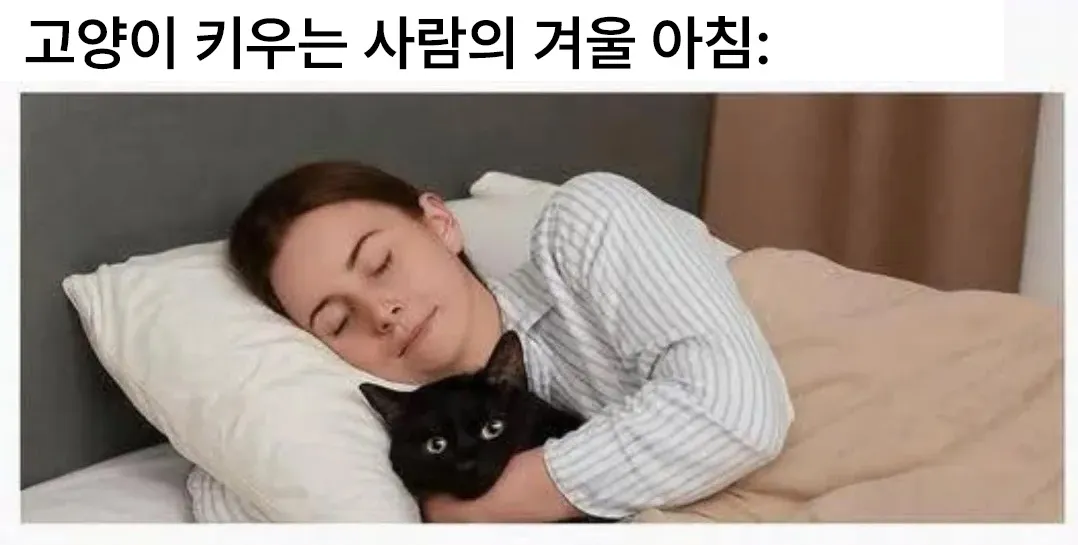 강쥐 키우는 사람의 겨울2