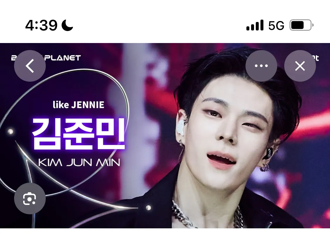 강아지상이 고양이상2