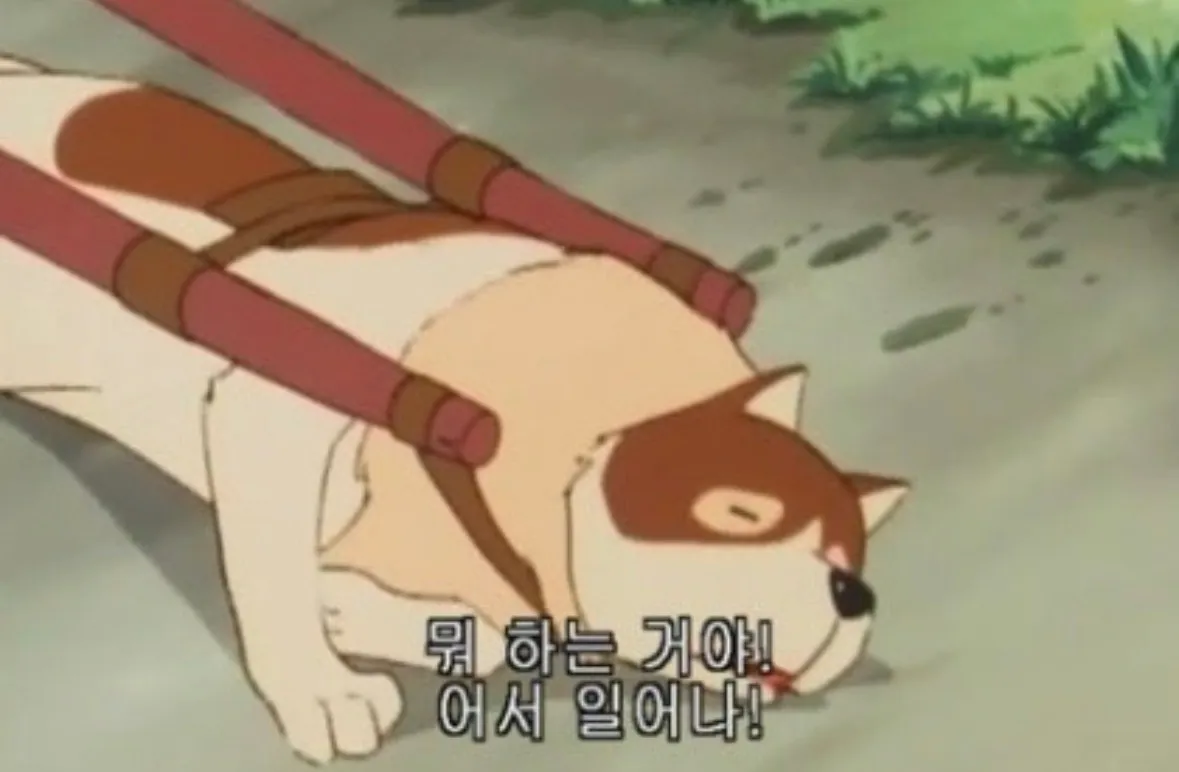 일어나 머리에 물묻혀 댓글