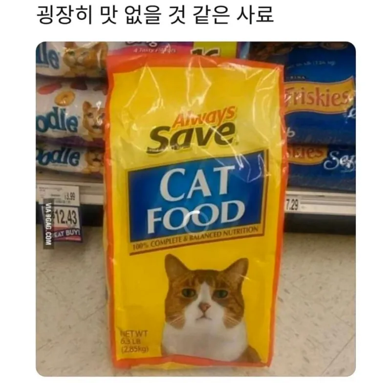 광고모델이 중요한이유