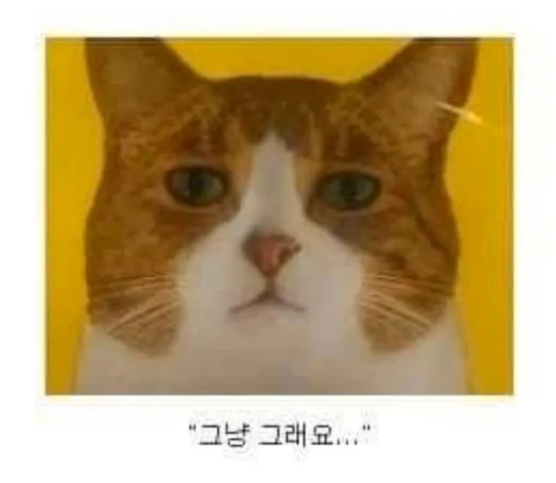 광고모델이 중요한이유2