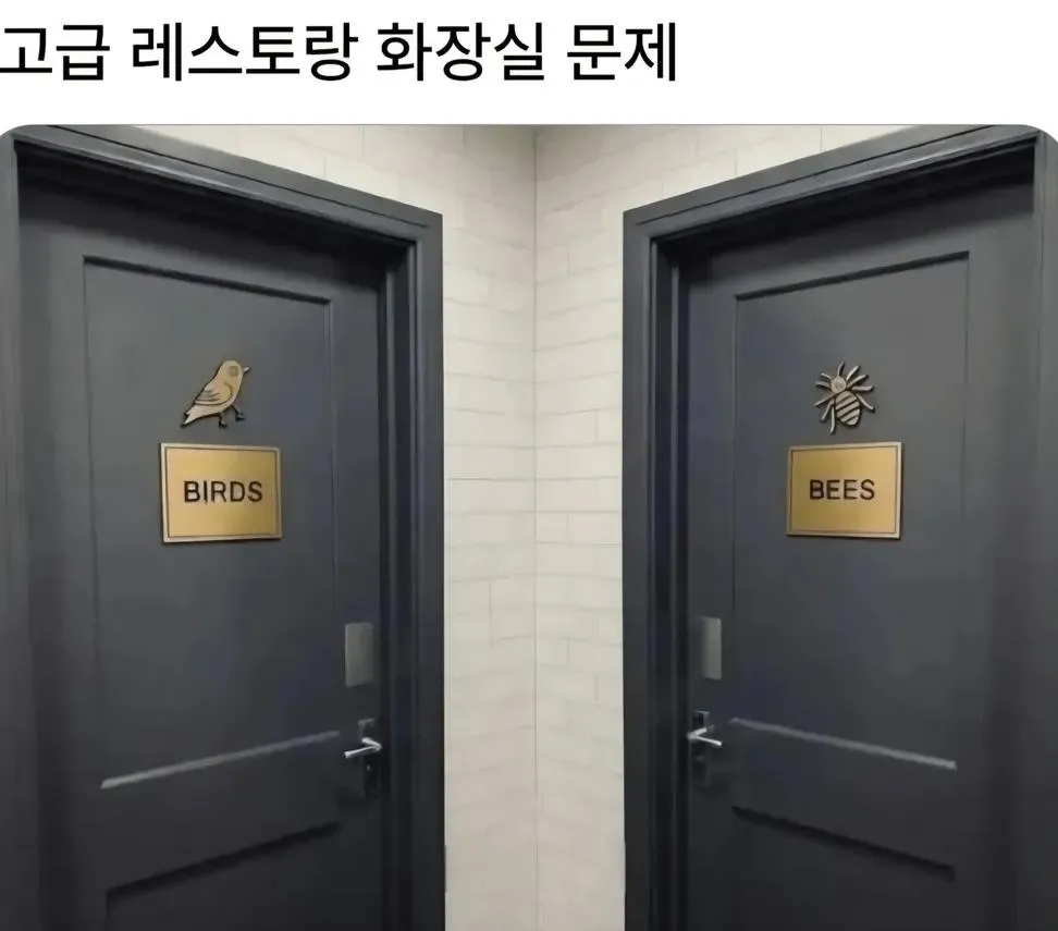 외국 고급레스토랑 화장실