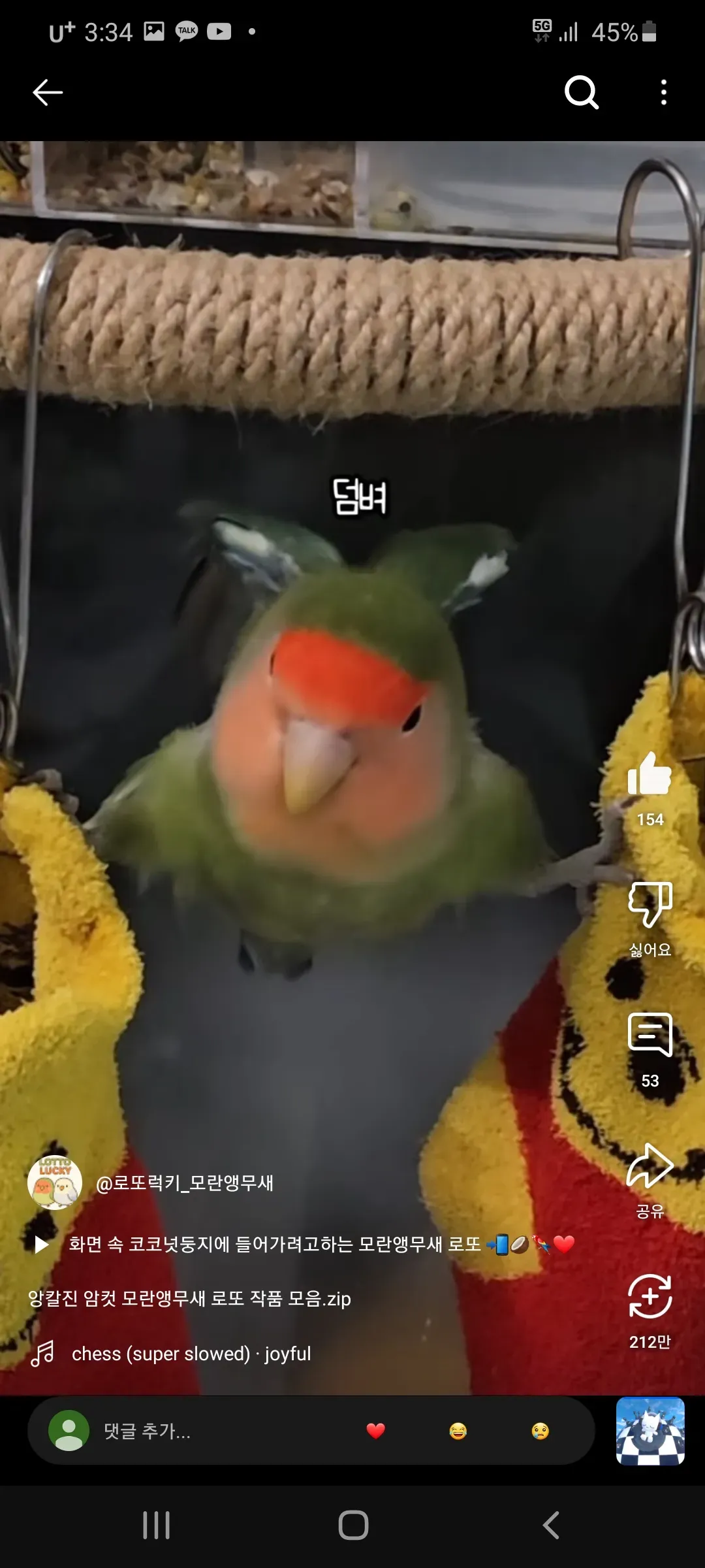 언니들 모해에 일어났니이 ㅇㅅㅇ 댓글