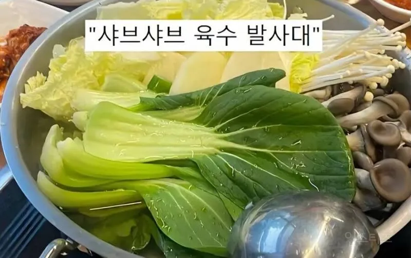 청경채의 모욕적인 별명들2