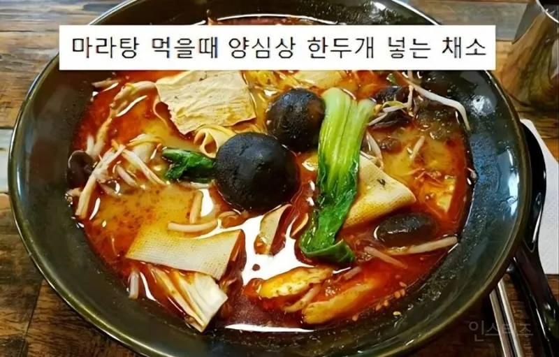 청경채의 모욕적인 별명들3