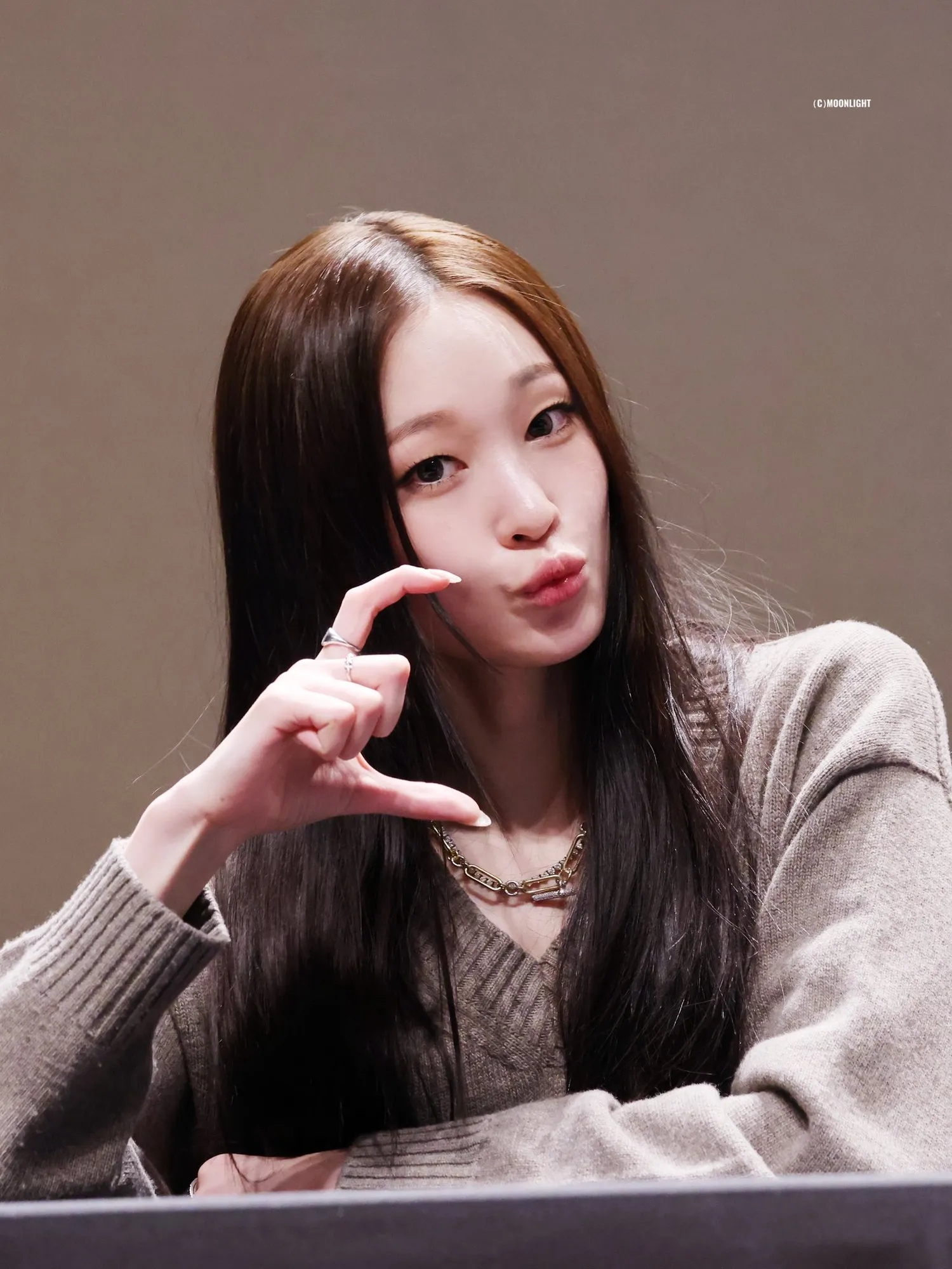 애니