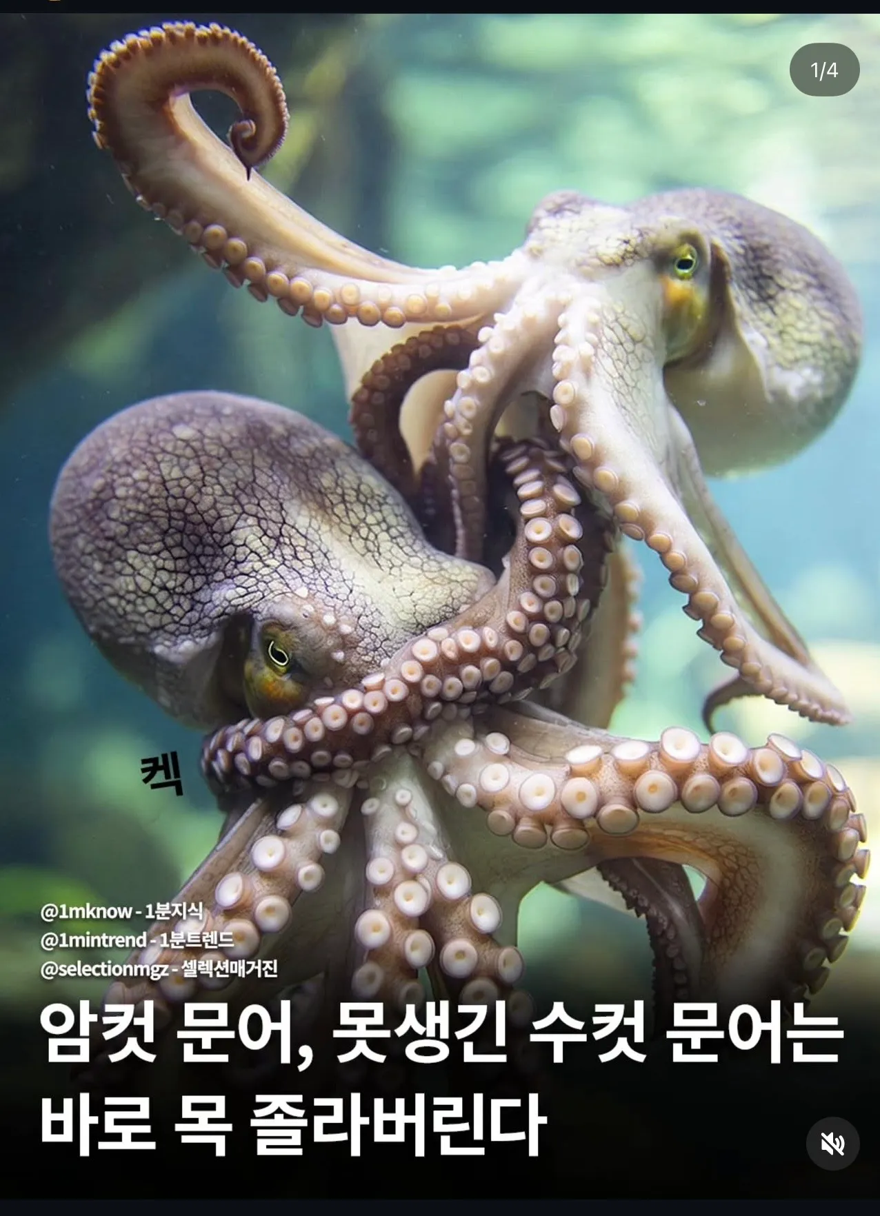 곧 살인범이 될거 같아요