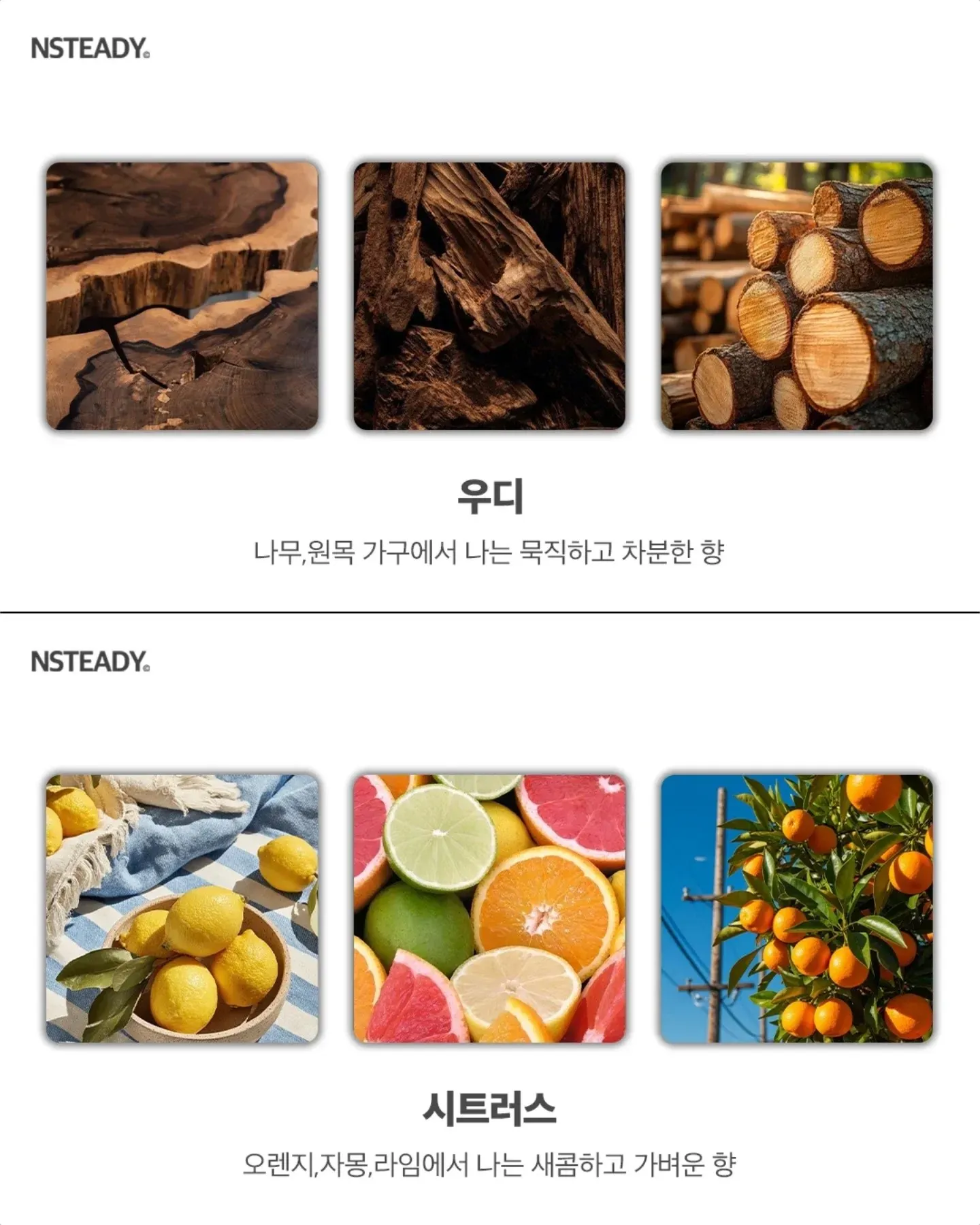 알아두면 유용한 향수 향 종류 모음