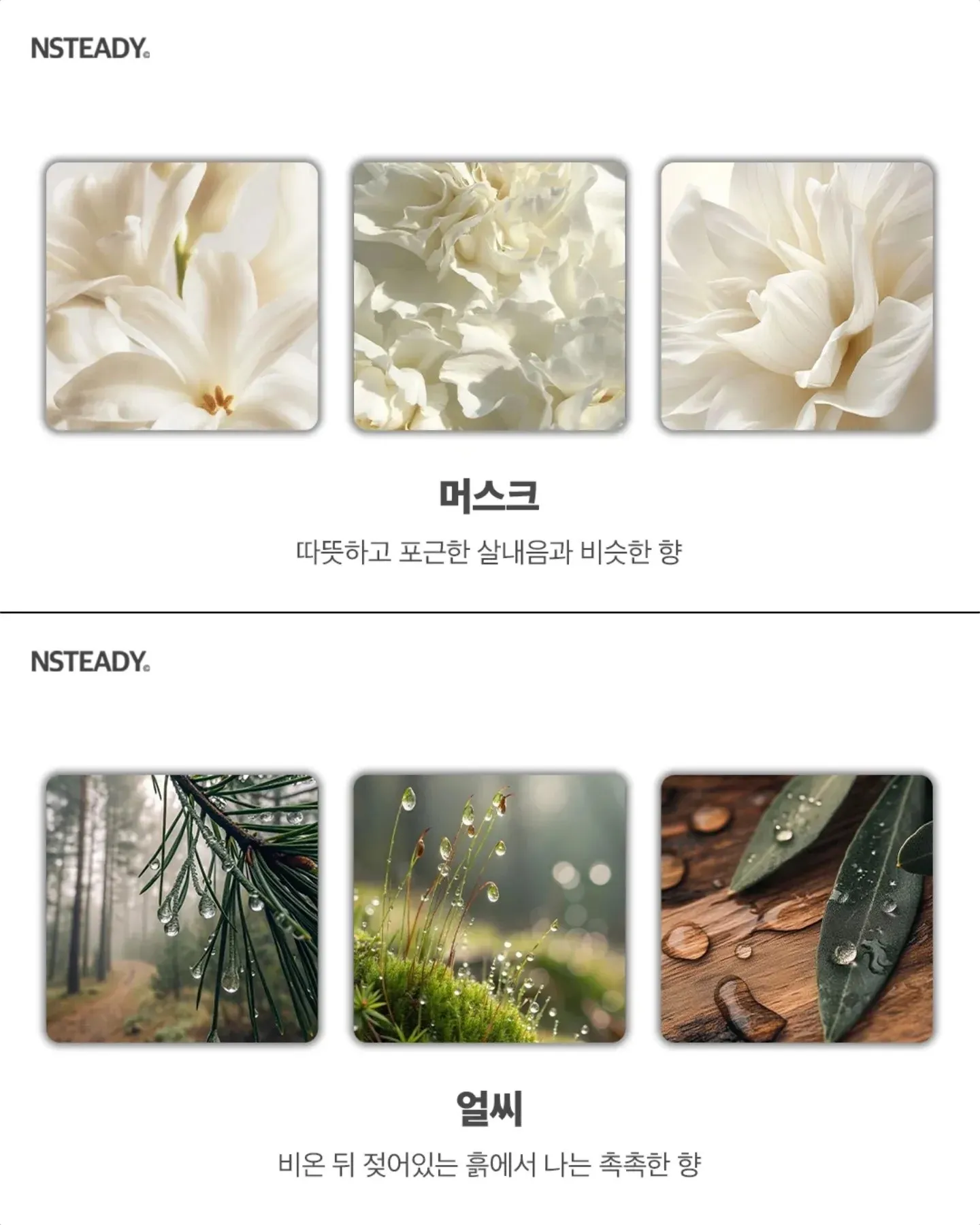 알아두면 유용한 향수 향 종류 모음3