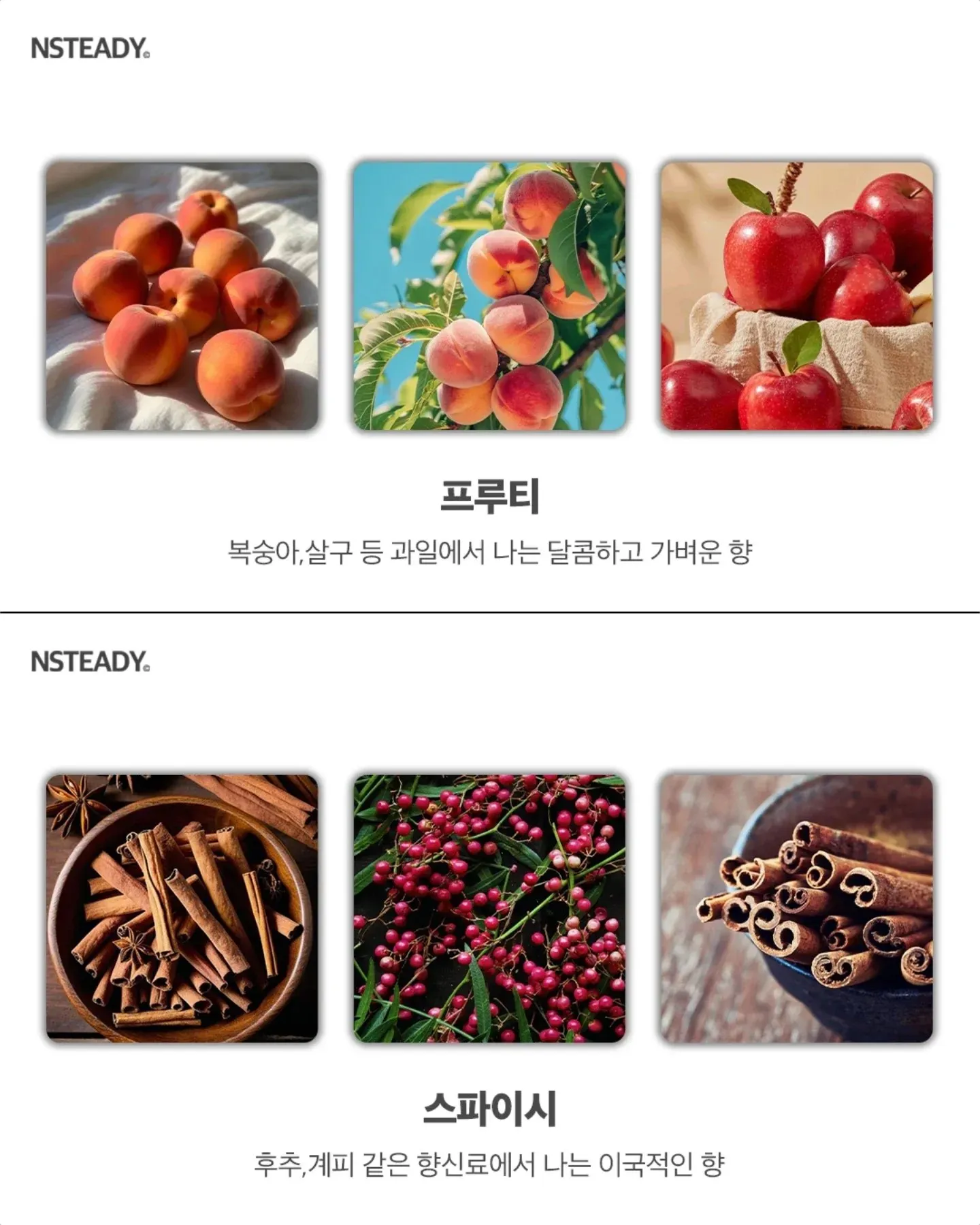 알아두면 유용한 향수 향 종류 모음5