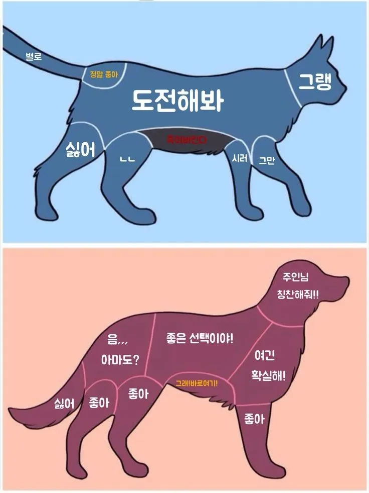 고양이랑 강아지 차이