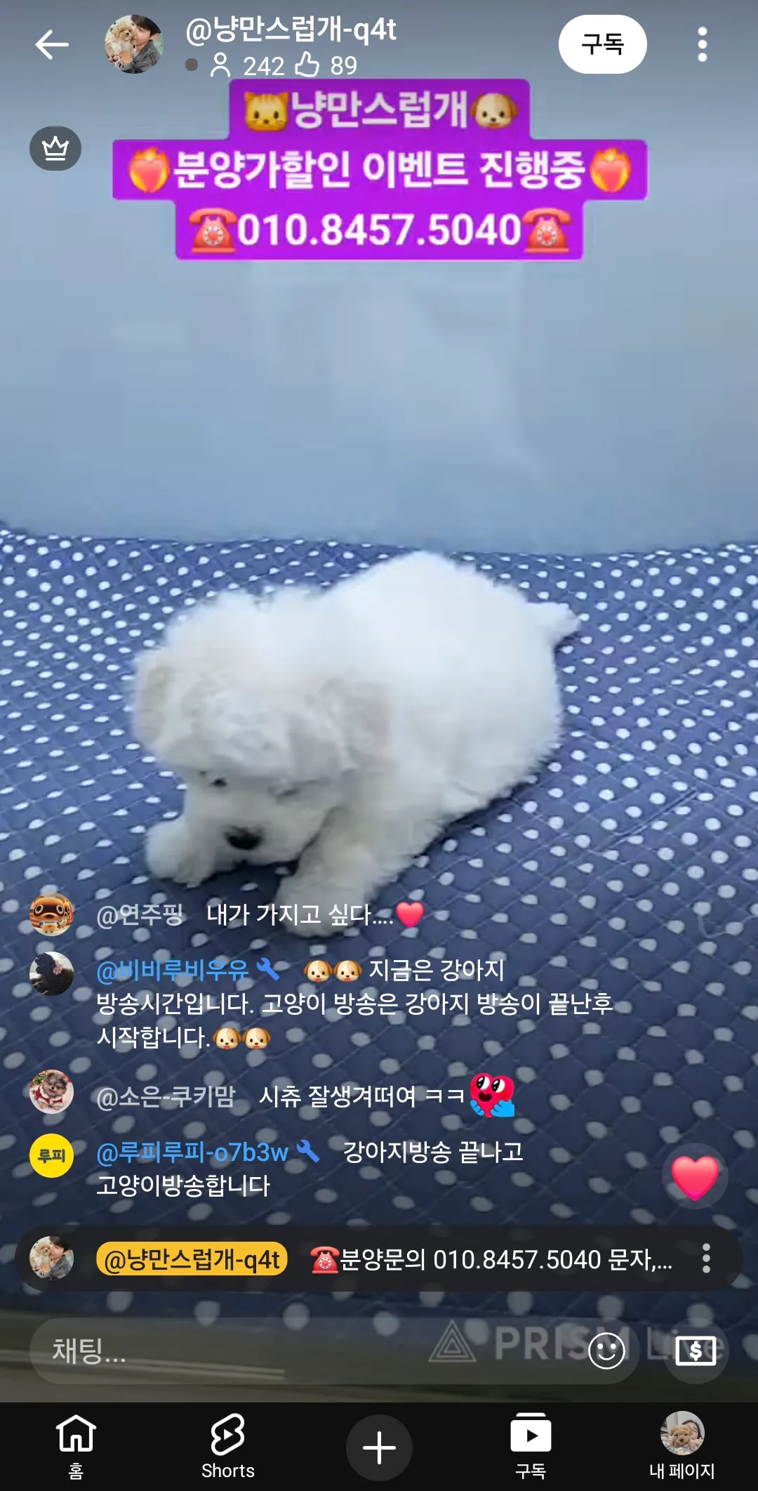 언니들 혼자살면서 개키우면힘드나요