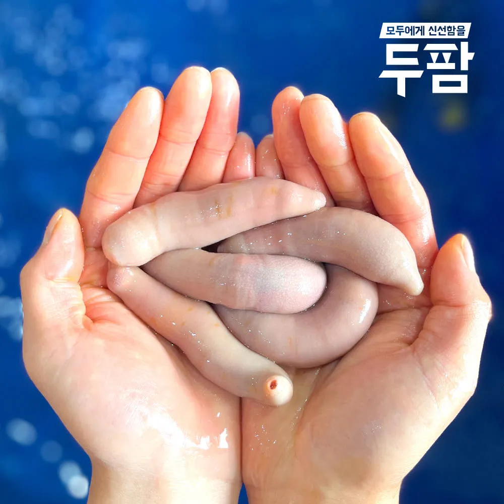 닉쿤 어캐생긴지모르나ㅅㅂ 댓글