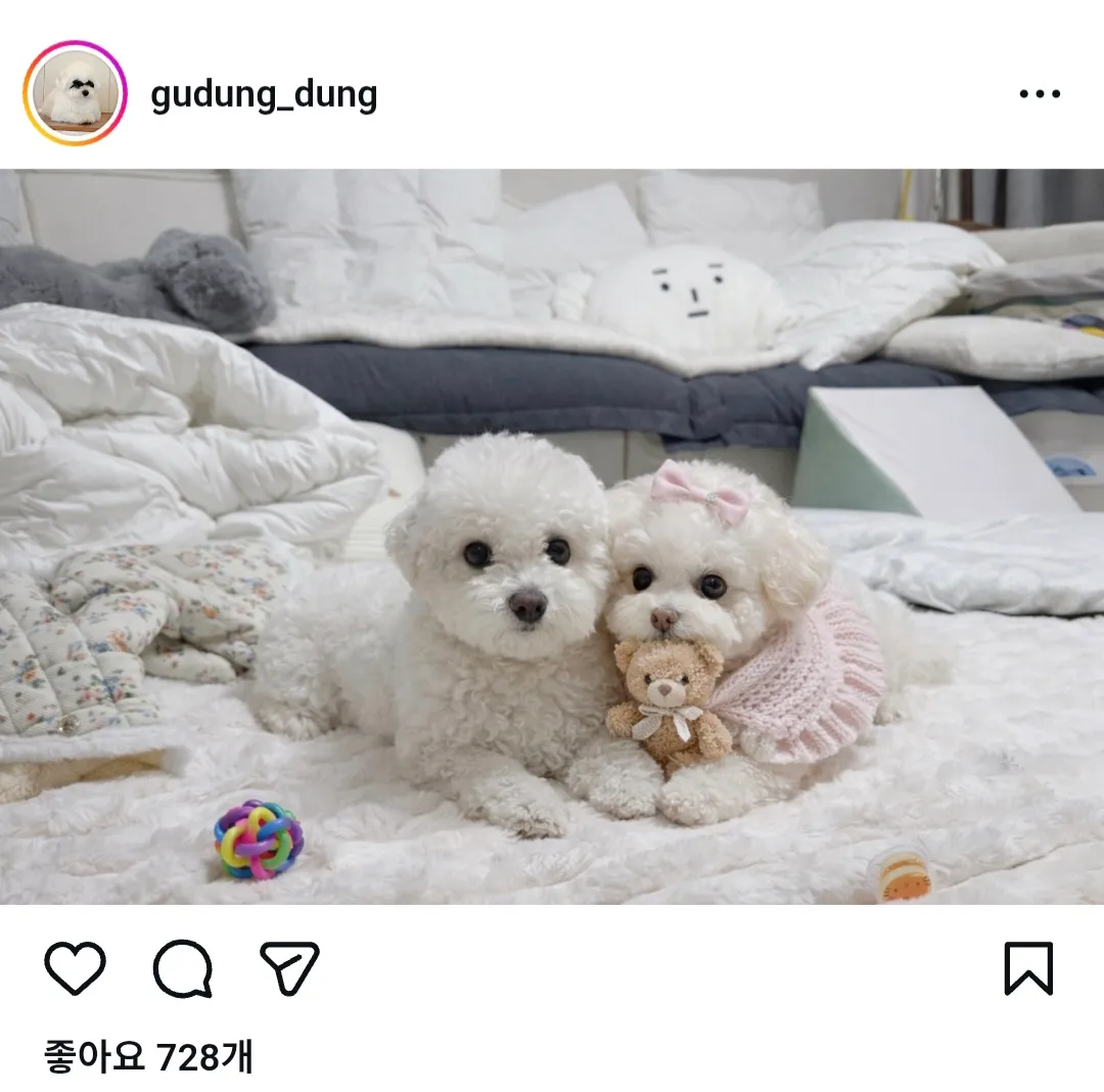 한달1500벌어서 집세폰비등등250쓰고 엄마1000주고