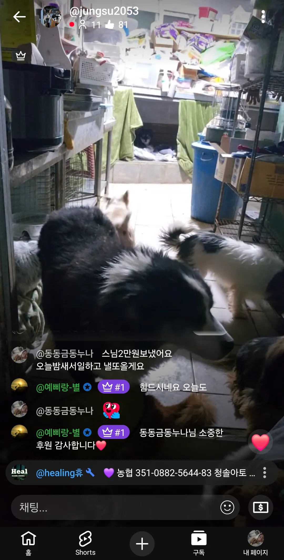 20000원 후원했다 유기견